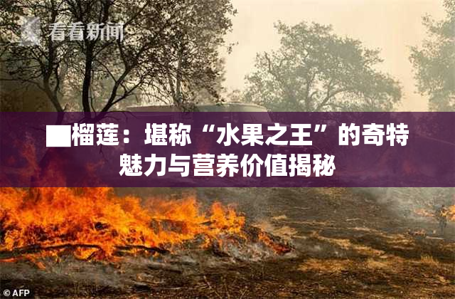 ▇榴莲：堪称“水果之王”的奇特魅力与营养价值揭秘