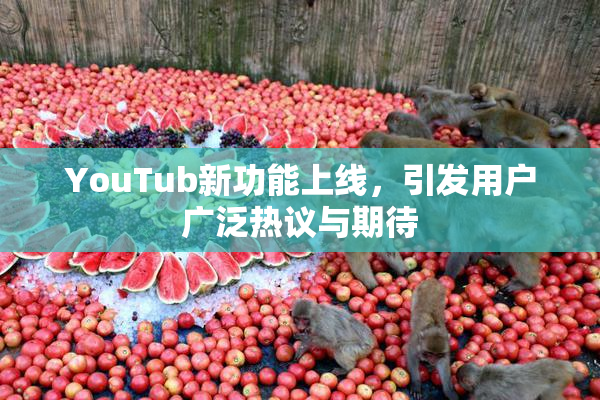 YouTub新功能上线，引发用户广泛热议与期待