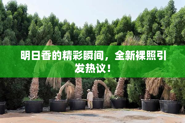 明日香的精彩瞬间，全新裸照引发热议！