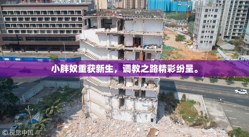 小胖奴重获新生，调教之路精彩纷呈。