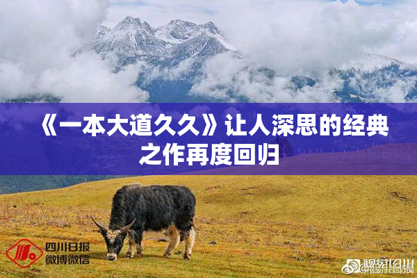 《一本大道久久》让人深思的经典之作再度回归