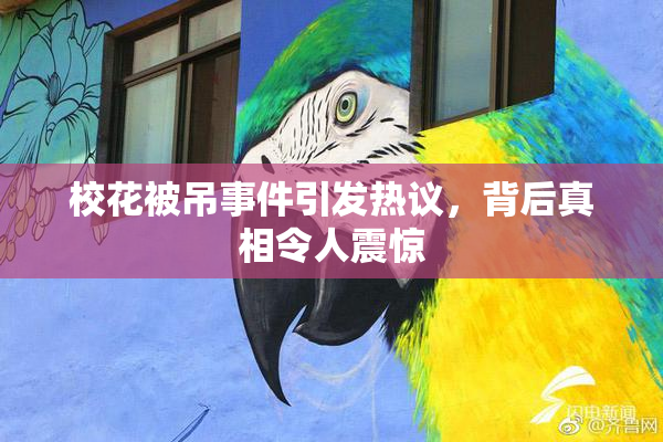 校花被吊事件引发热议，背后真相令人震惊