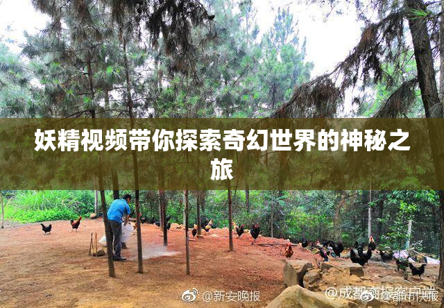 妖精视频带你探索奇幻世界的神秘之旅