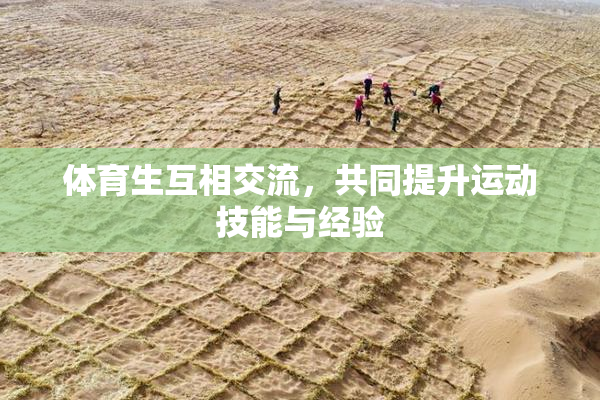 体育生互相交流，共同提升运动技能与经验