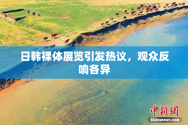 日韩裸体展览引发热议，观众反响各异