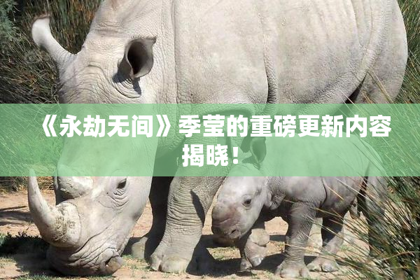 《永劫无间》季莹的重磅更新内容揭晓！