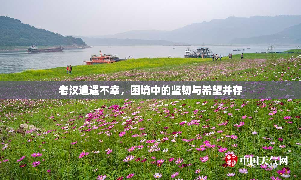 老汉遭遇不幸，困境中的坚韧与希望并存