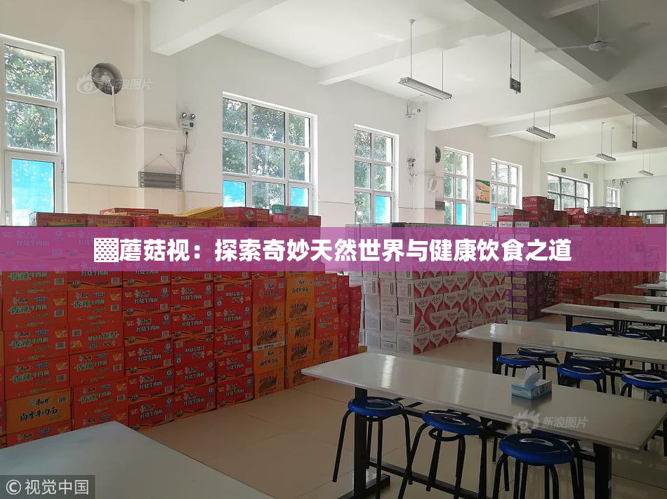 ▓蘑菇视：探索奇妙天然世界与健康饮食之道