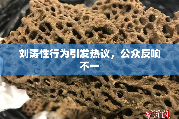 刘涛性行为引发热议，公众反响不一