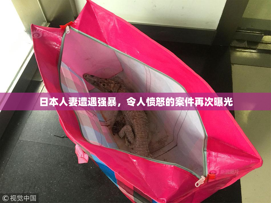 日本人妻遭遇强暴，令人愤怒的案件再次曝光