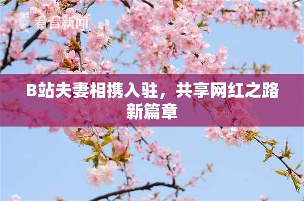 B站夫妻相携入驻，共享网红之路新篇章