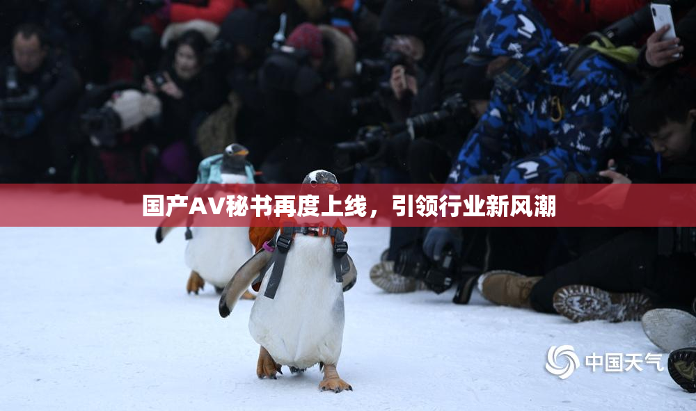 国产AV秘书再度上线，引领行业新风潮