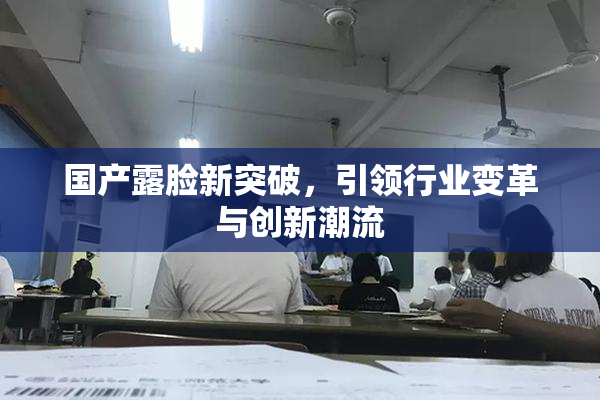 国产露脸新突破，引领行业变革与创新潮流