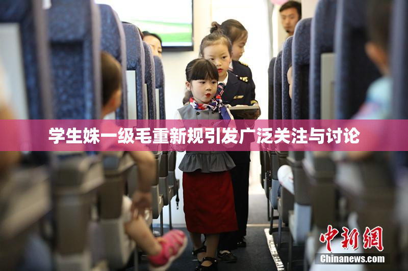学生姝一级毛重新规引发广泛关注与讨论
