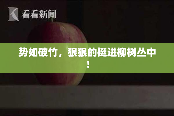 势如破竹，狠狠的挺进柳树丛中！