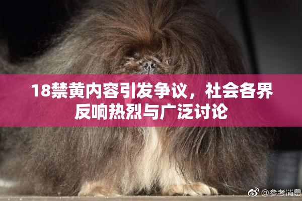 18禁黄内容引发争议，社会各界反响热烈与广泛讨论