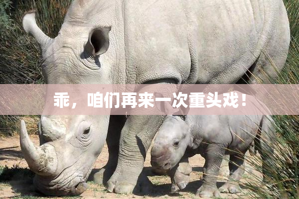 乖，咱们再来一次重头戏！