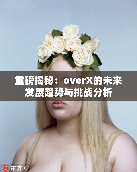 重磅揭秘：overX的未来发展趋势与挑战分析