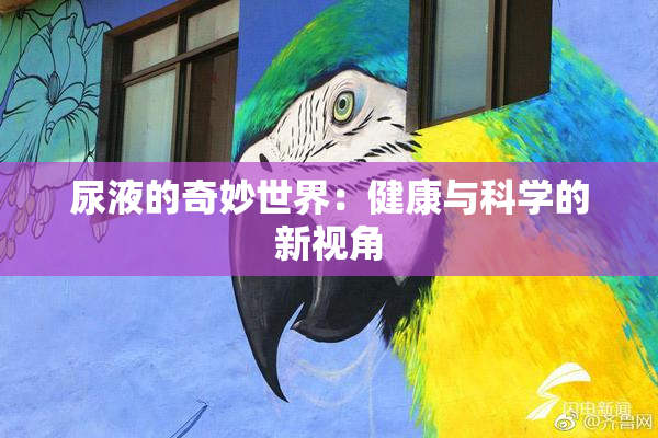 尿液的奇妙世界：健康与科学的新视角