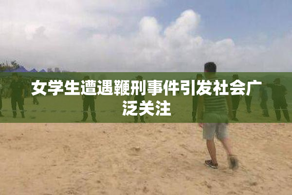 女学生遭遇鞭刑事件引发社会广泛关注