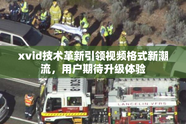 xvid技术革新引领视频格式新潮流，用户期待升级体验