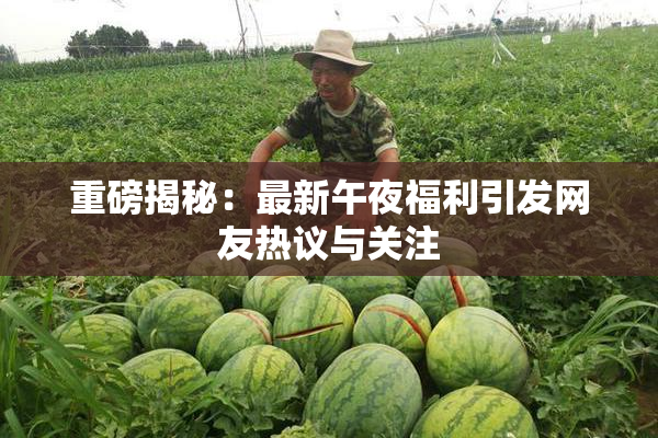 重磅揭秘：最新午夜福利引发网友热议与关注