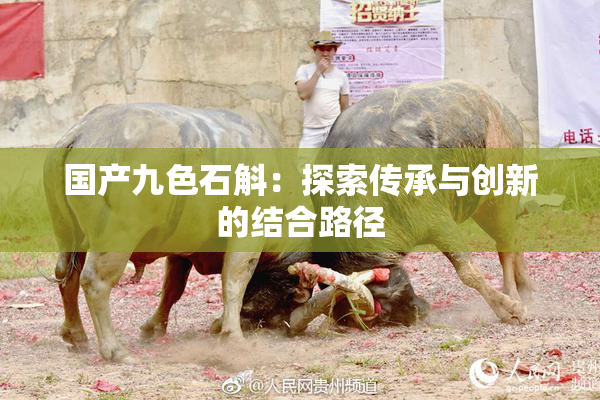 国产九色石斛：探索传承与创新的结合路径
