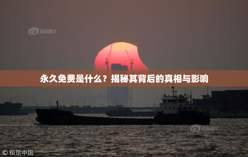 永久免费是什么？揭秘其背后的真相与影响