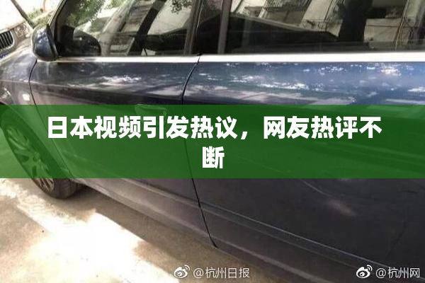 日本视频引发热议，网友热评不断