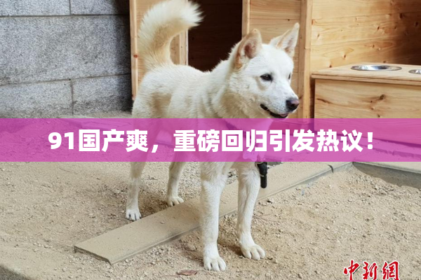91国产爽，重磅回归引发热议！