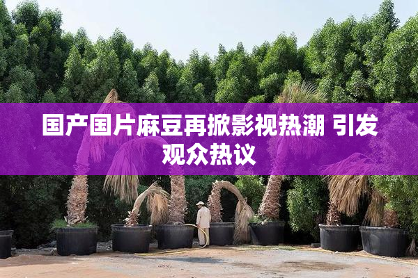 国产国片麻豆再掀影视热潮 引发观众热议