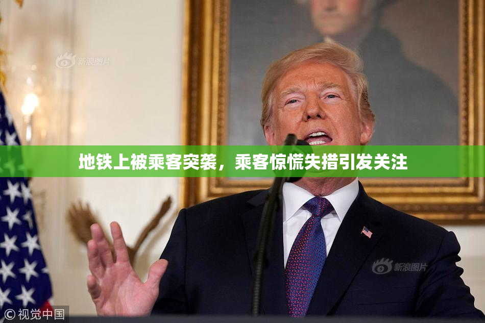 地铁上被乘客突袭，乘客惊慌失措引发关注