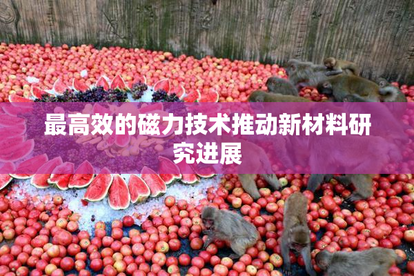 最高效的磁力技术推动新材料研究进展