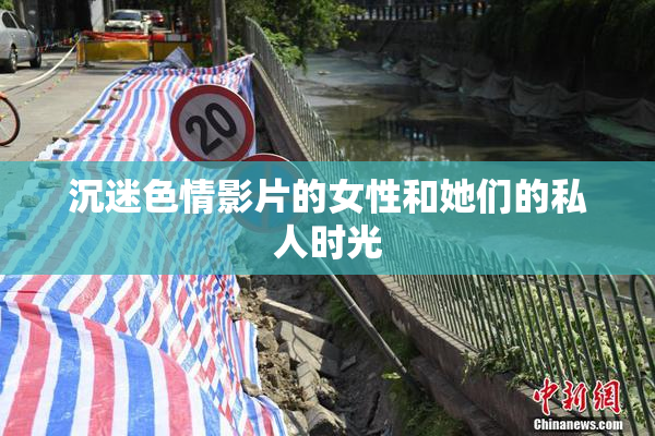 沉迷色情影片的女性和她们的私人时光