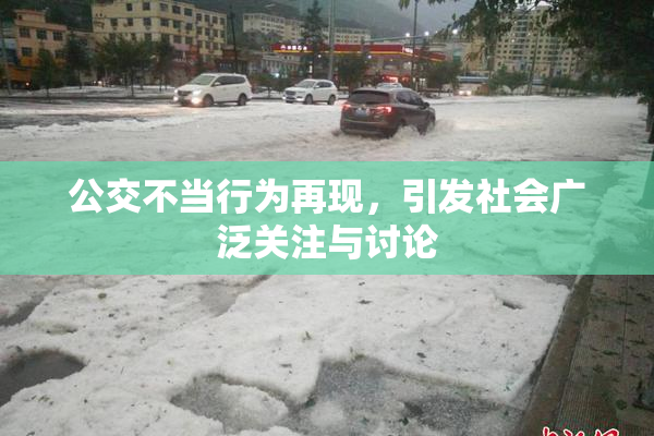 公交不当行为再现，引发社会广泛关注与讨论