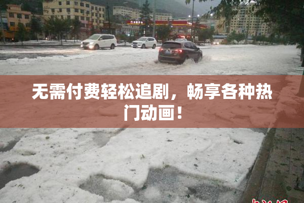 无需付费轻松追剧，畅享各种热门动画！