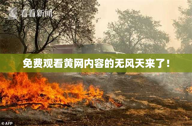 免费观看黄网内容的无风天来了！