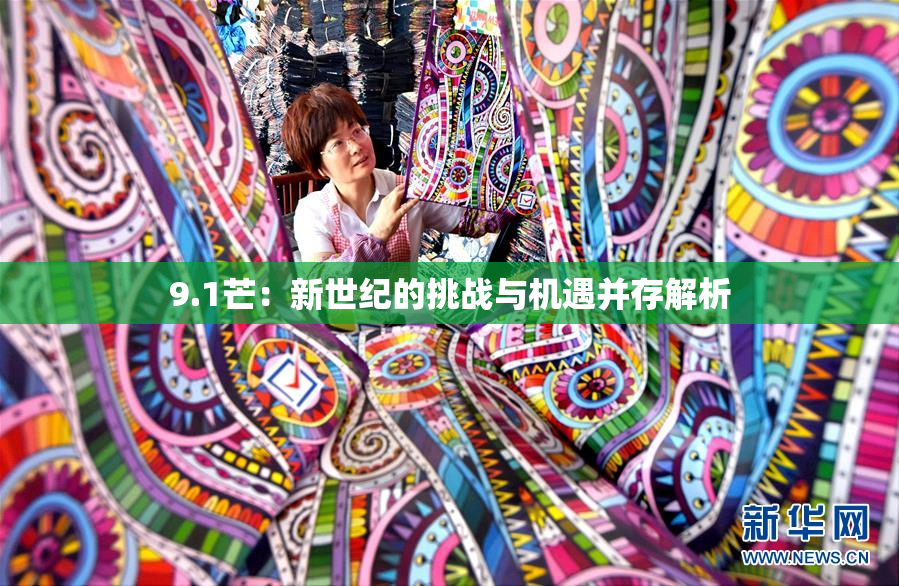 9.1芒：新世纪的挑战与机遇并存解析