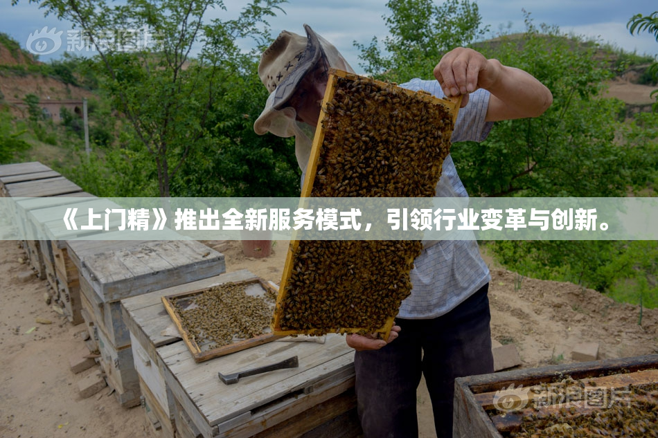 《上门精》推出全新服务模式，引领行业变革与创新。