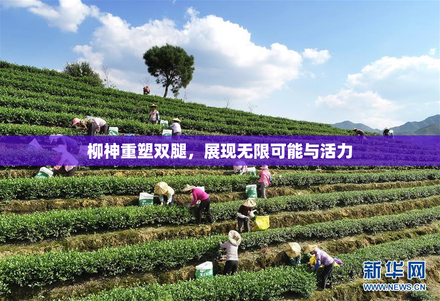 柳神重塑双腿，展现无限可能与活力