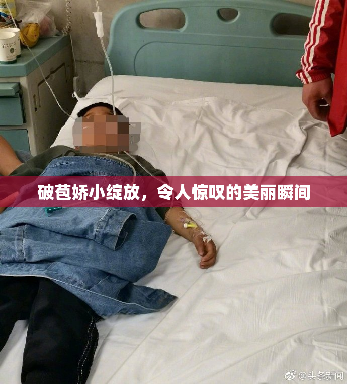 破苞娇小绽放，令人惊叹的美丽瞬间