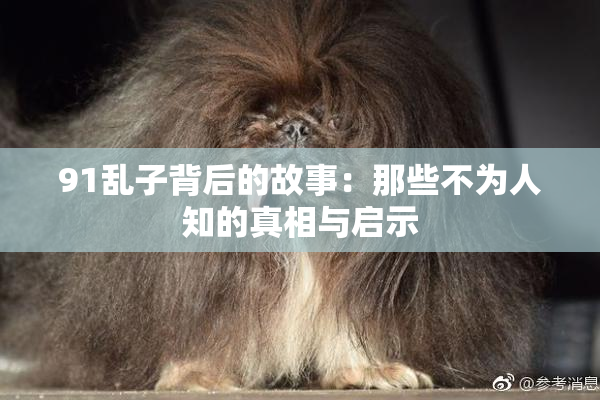 91乱子背后的故事：那些不为人知的真相与启示
