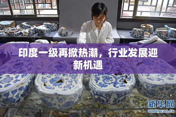 印度一级再掀热潮，行业发展迎新机遇