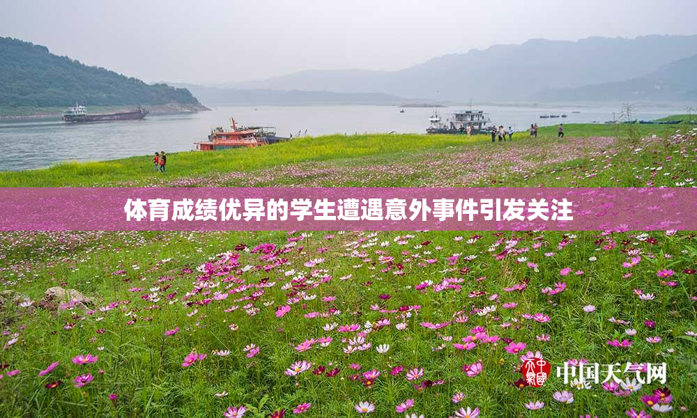 体育成绩优异的学生遭遇意外事件引发关注