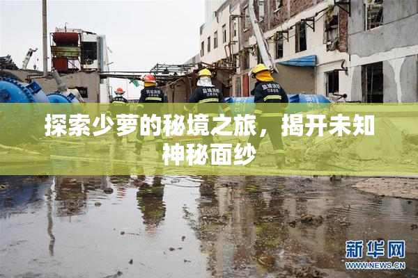 探索少萝的秘境之旅，揭开未知神秘面纱