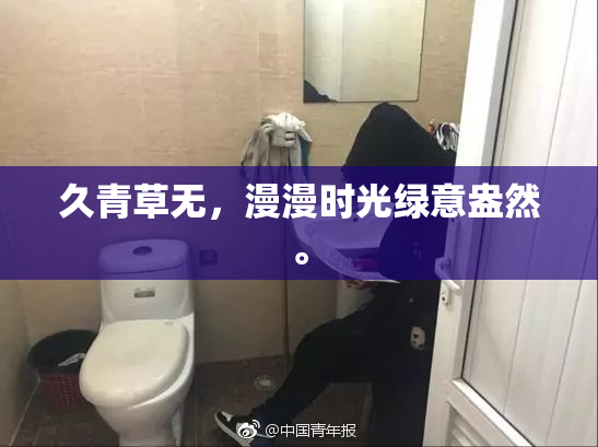 久青草无，漫漫时光绿意盎然。