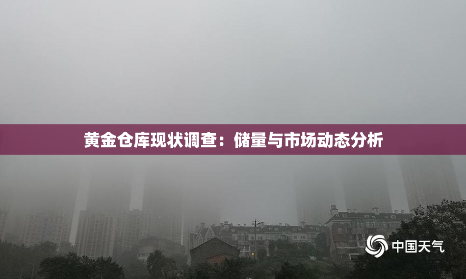 黄金仓库现状调查：储量与市场动态分析