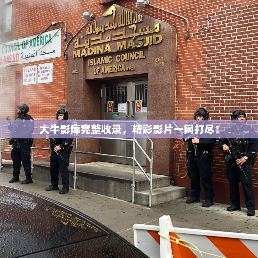 大牛影库完整收录，精彩影片一网打尽！