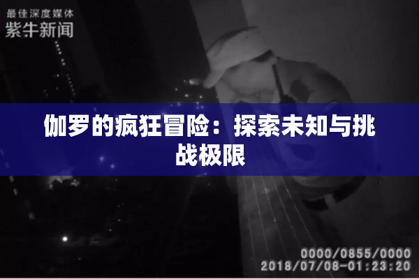 伽罗的疯狂冒险：探索未知与挑战极限