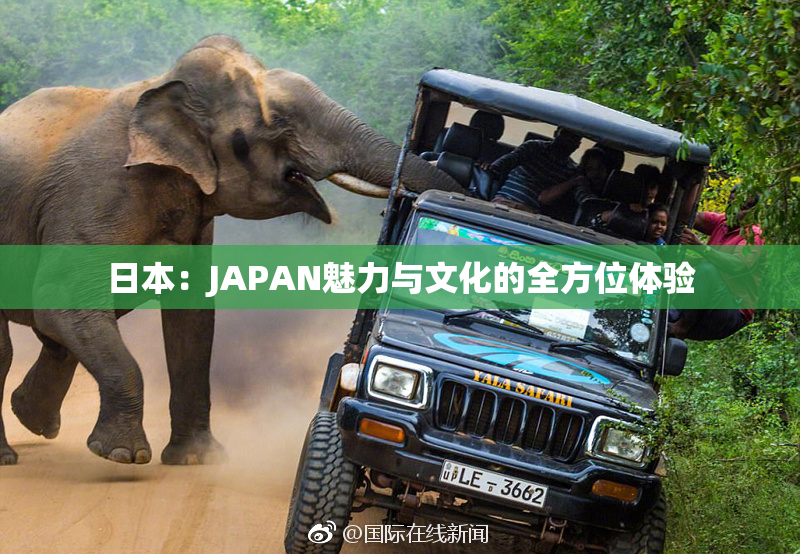 日本：JAPAN魅力与文化的全方位体验